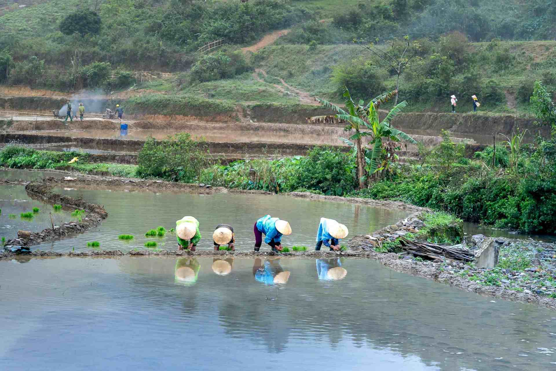 pexels-quang-nguyen-vinh-222549-3232602(1).jpg pexels-quang-nguyen-vinh-222549-3232602(1).jpg